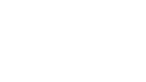 GenreBndrTHE OFFICIAL LOGO DATA wht